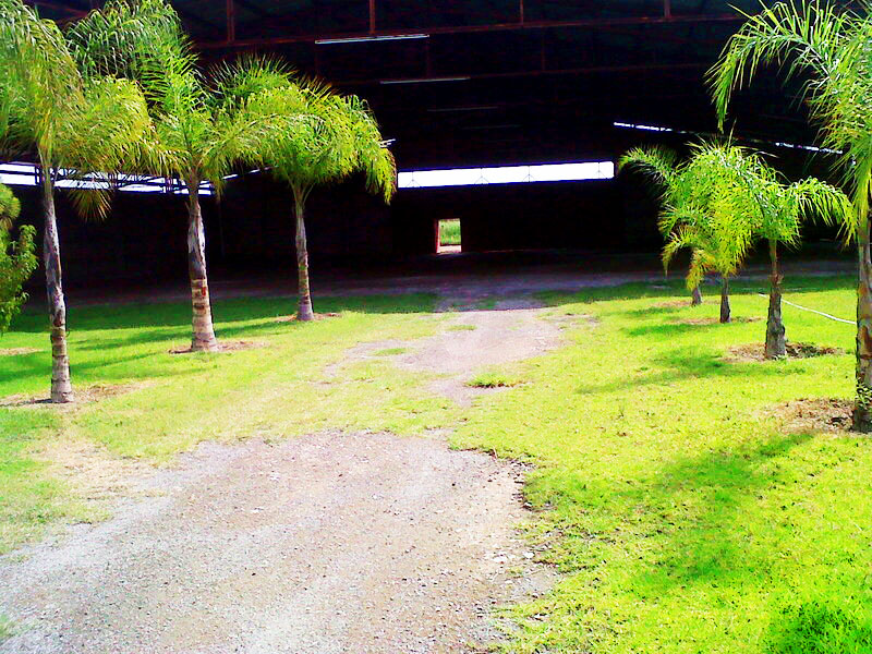 Proyecto NAVE INDUSTRIAL (TALLER DE SERVICIO DE MAQUINARIA PESADA)